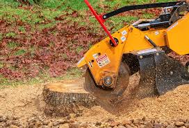 Best Lawn Watering Services  in Fetters Hot Springs Agua Liente, CA